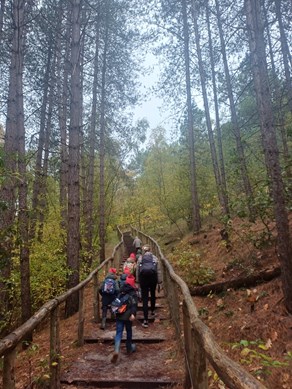 9C889D86E6B4453EB7E958290C67ECA2